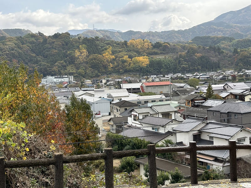 Tobe Town