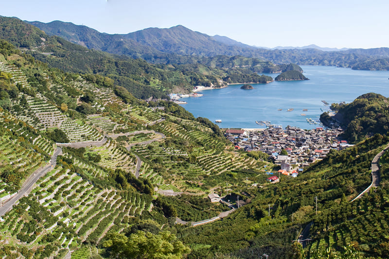 Karihama Terraced Fields