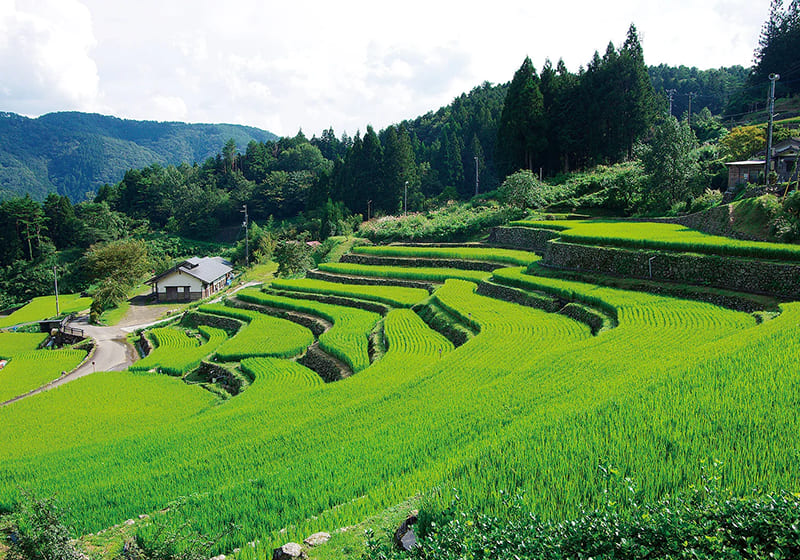 Yusuhara Town