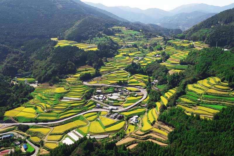 Tosa Town