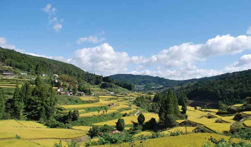Motoyama Town
