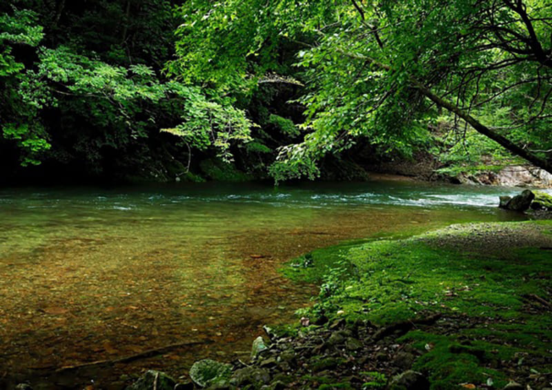 Kuroson River