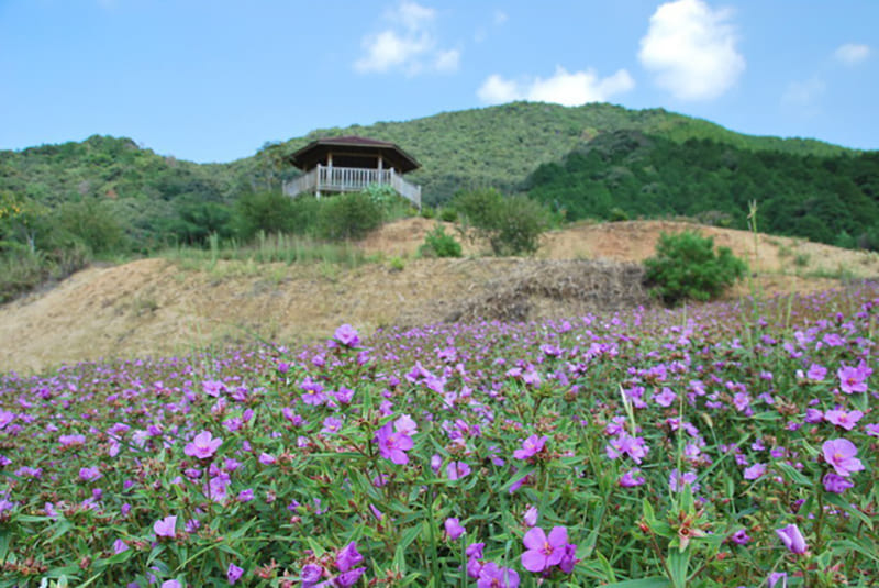Mihara Village