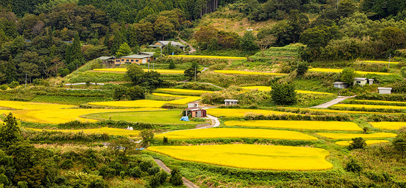 Otoyo Town