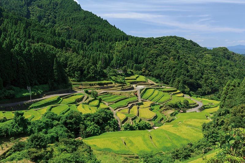 Ukiha City