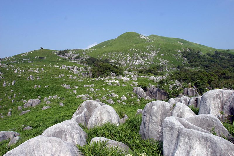 平尾台カルスト