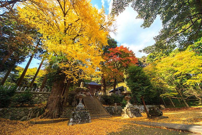 雷神社
