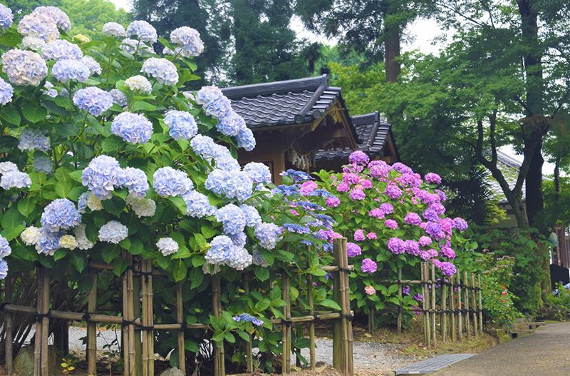 千光寺