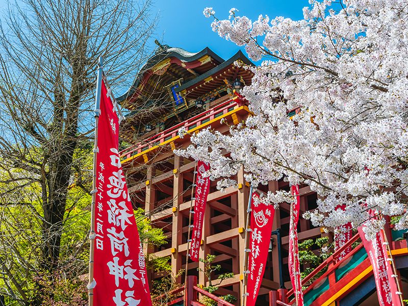Saga Prefecture