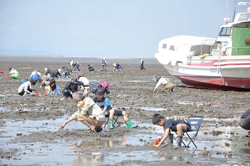 สถานที่จับหอยตลับเพื่อการท่องเที่ยวเมืองคาวาโซเอะ