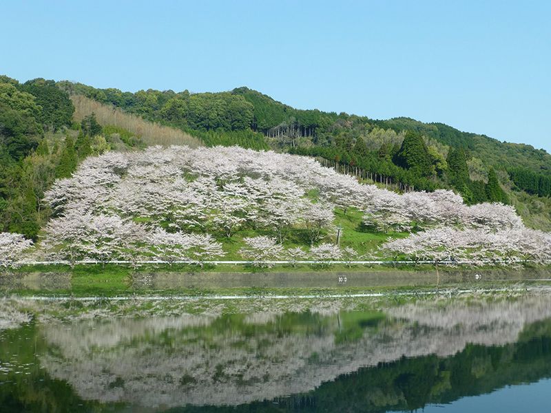 Niwaki Dam