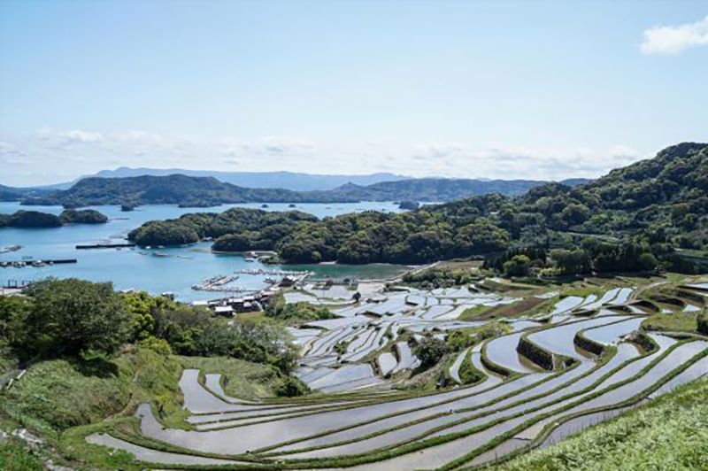 大浦の棚田展望所