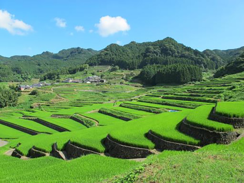 Hasami Town