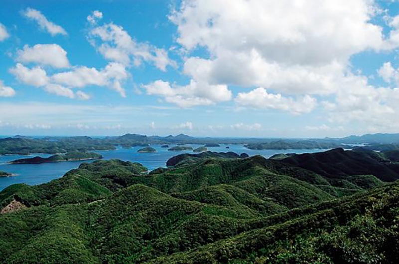 Tsushima City
