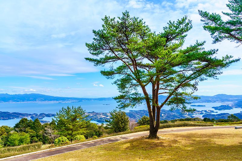 Kinkai Akamizu Park