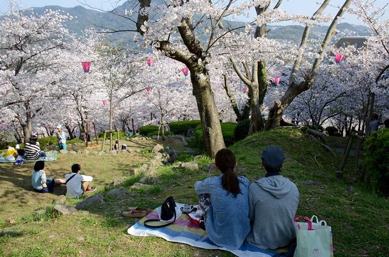 Tateyama Park