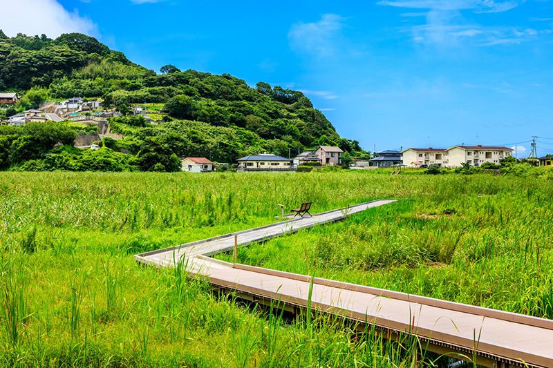 Kurosaki Nagata Wetland Nature Park