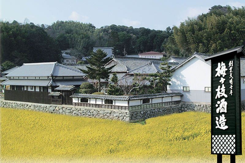 梅ヶ枝酒造