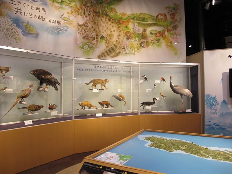 Tsushima Wildlife Conservation Center