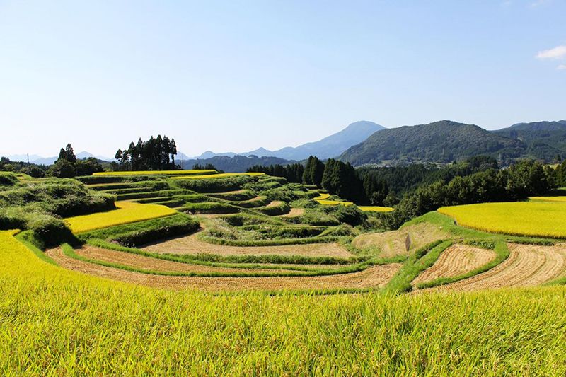 Shimofukura Terraced Rice Fields
