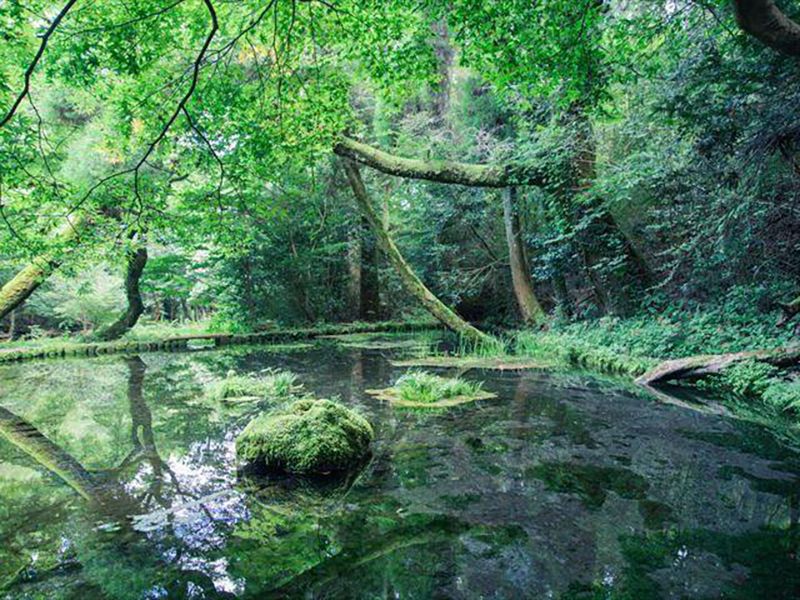 山吹水源