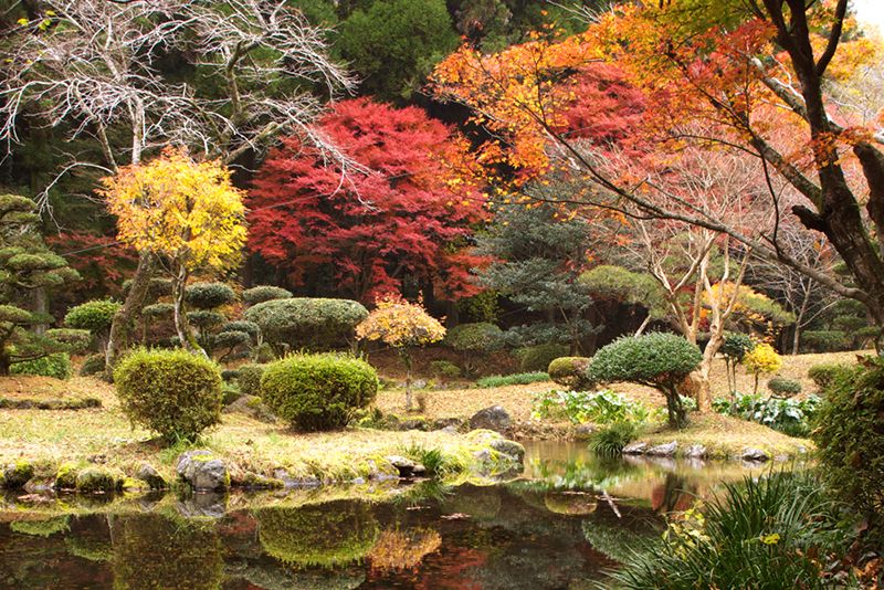 Aso City Teki-ishi