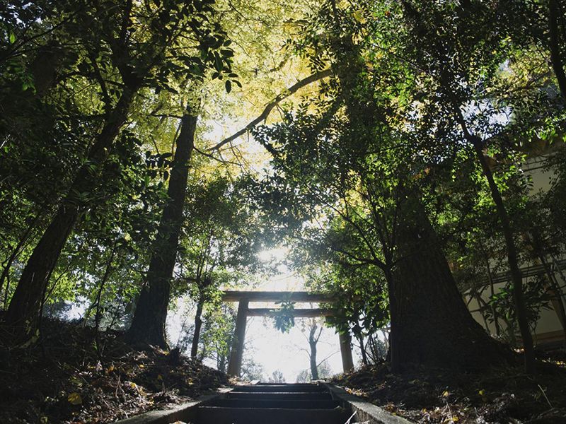 Heitate Jingu Shrine