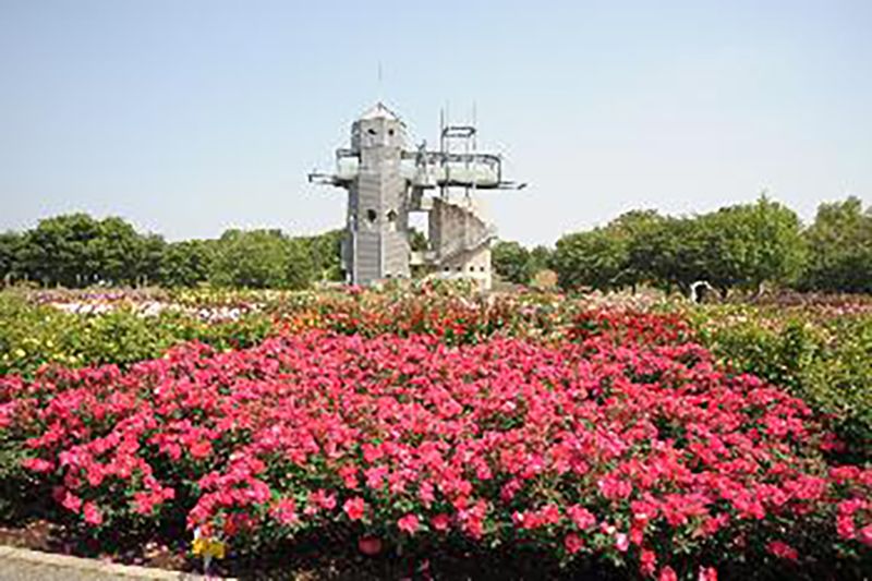 Koshi City