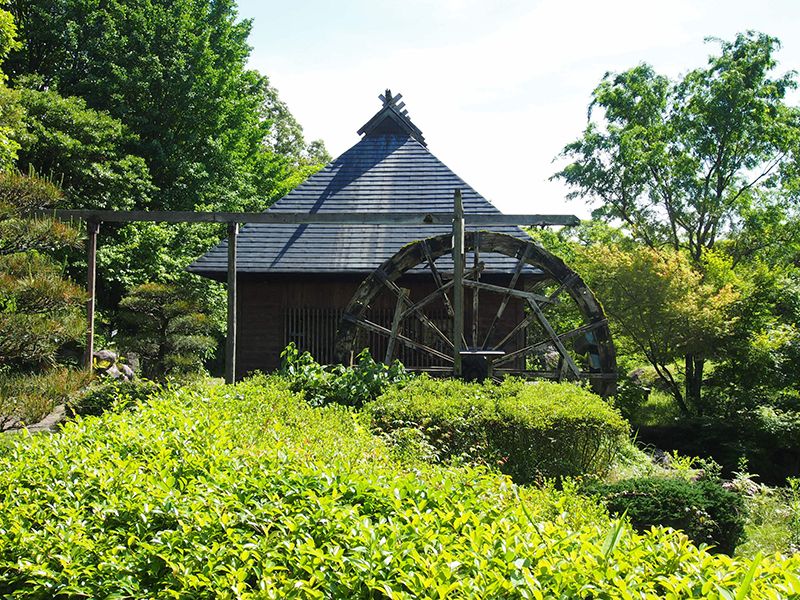 Nagomi Town