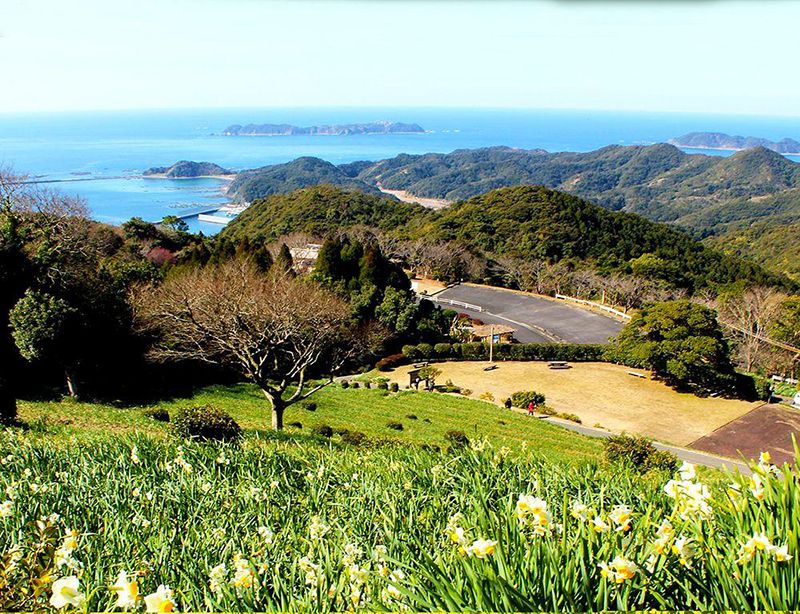 遠見山
