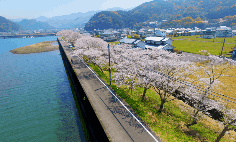 Tsunagi Town