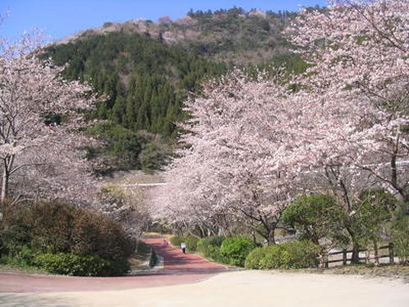아오에 댐 공원