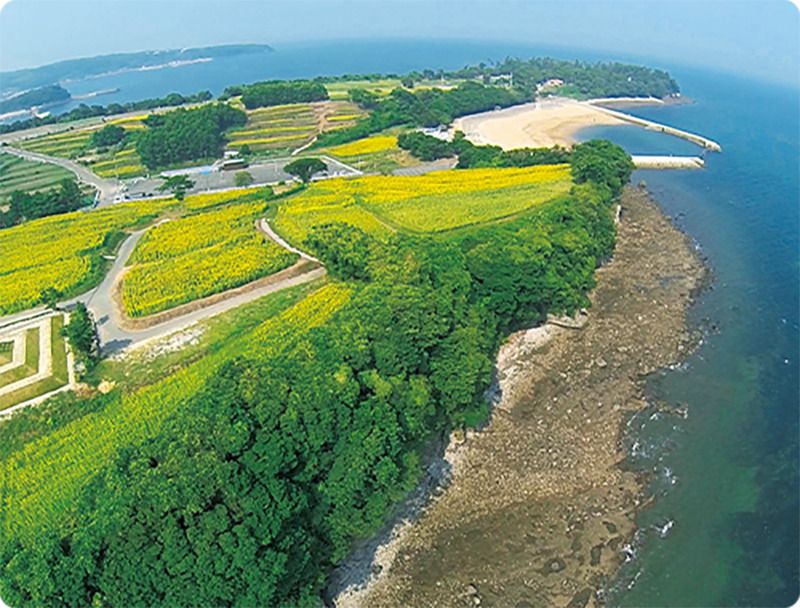 長崎鼻