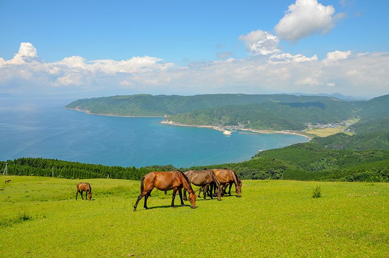 Kushima City