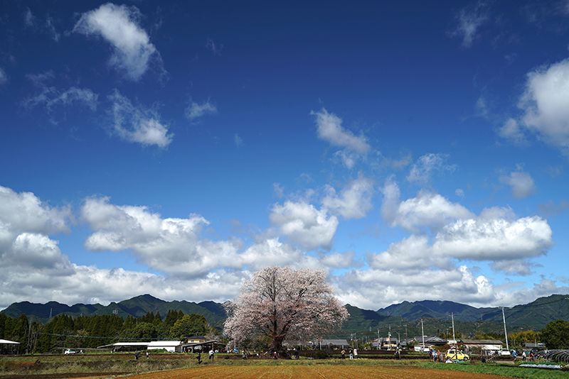 Kunitomi Town
