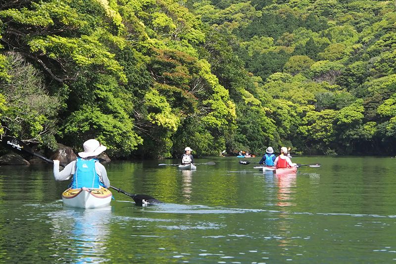 ทัวร์พายเรือคายัค เกาะยากูชิมะ “คาเซะ”