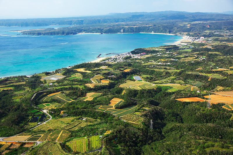 Higashi Village