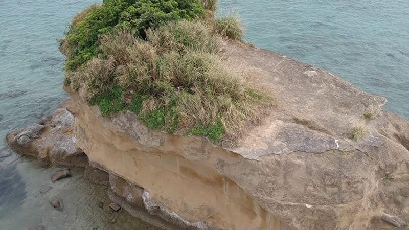 Tofu Island
