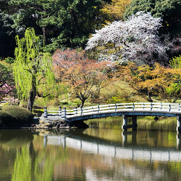 絶景・自然
