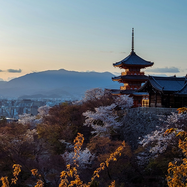 神社仏閣